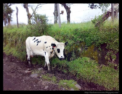 El Gigante Silencioso, Visitalo y Cuidalo