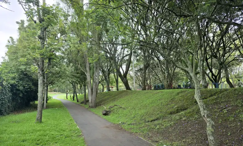 Descubre el Parque Recreacional La Moya en Conocoto, Valle de Los Chillos. Piscina, canchas, senderos y diversión familiar todo el año. #ParqueLaMoya #ValleDeLosChillos #TurismoQuito #PiscinasQuito #TurismoEcuador #AventuraEnFamilia #RevistaCocoEc